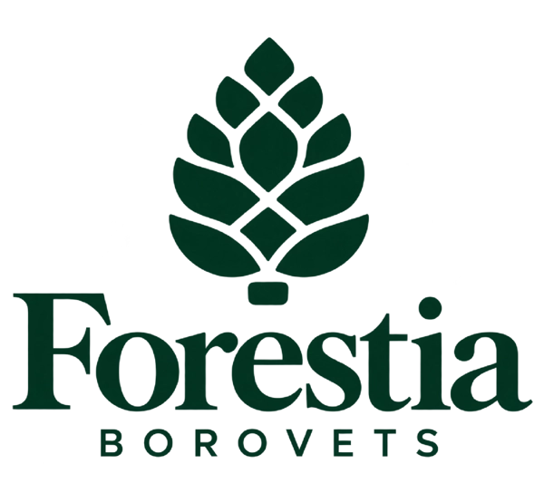 hotel-forestia-green-transparent